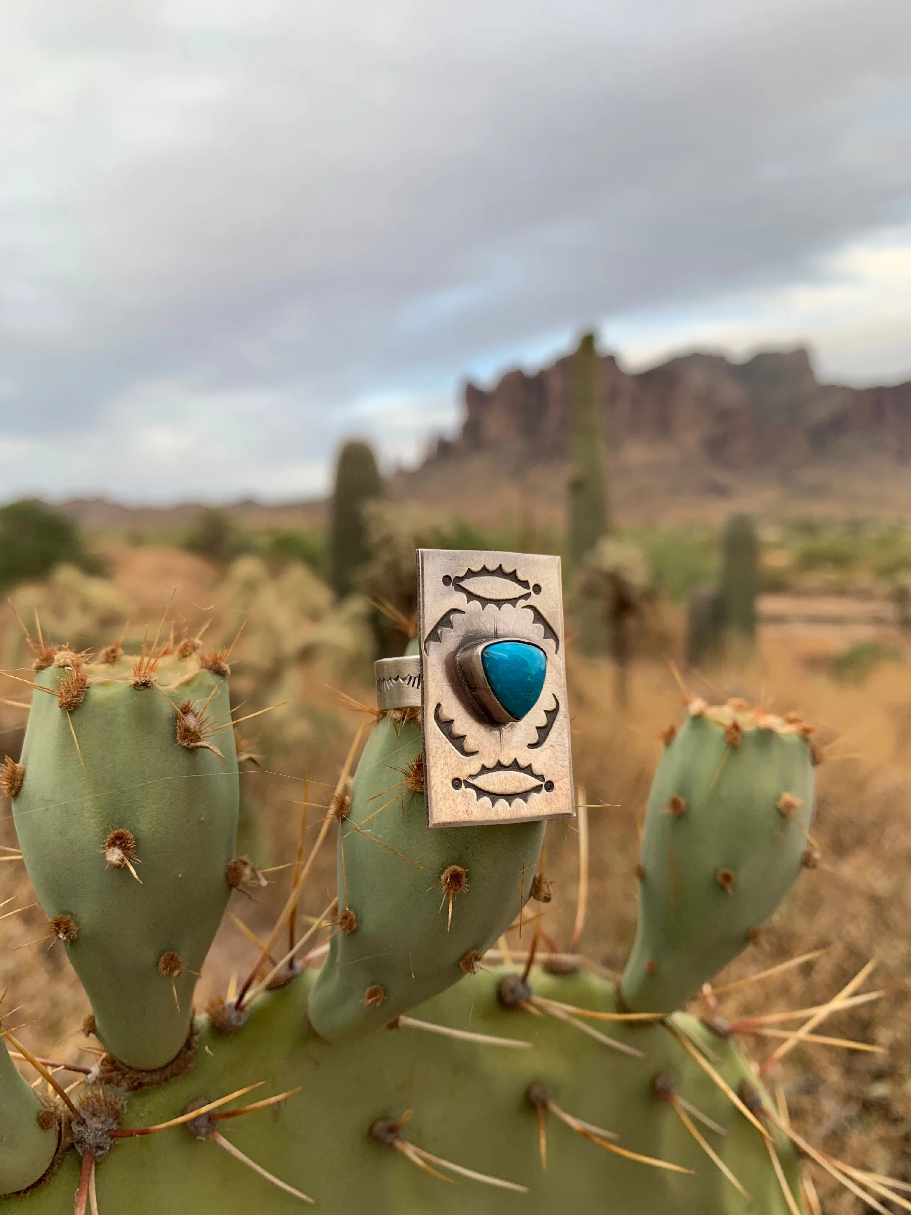 Adjustable Kingman Turquoise ring