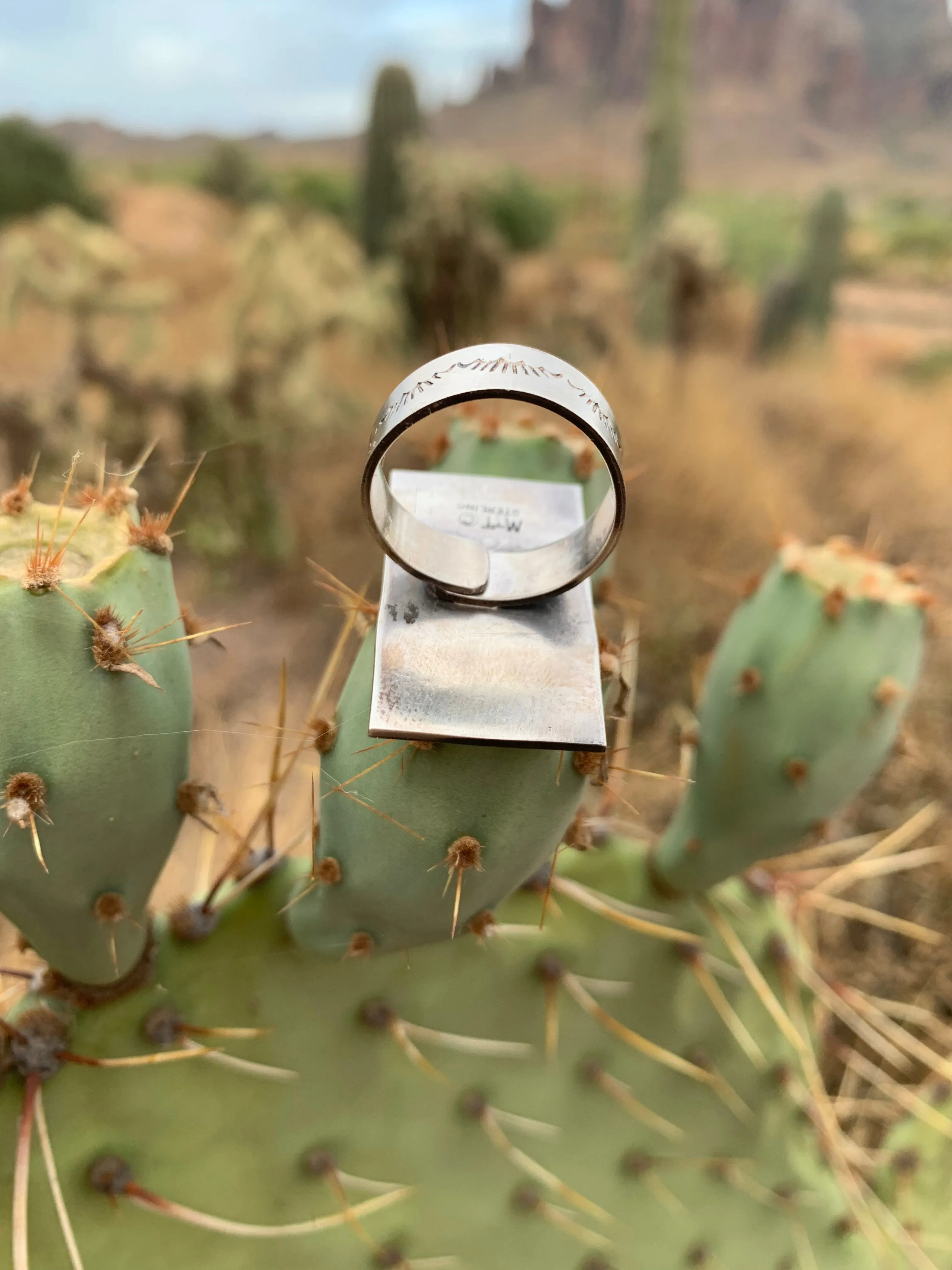 Adjustable Kingman Turquoise ring