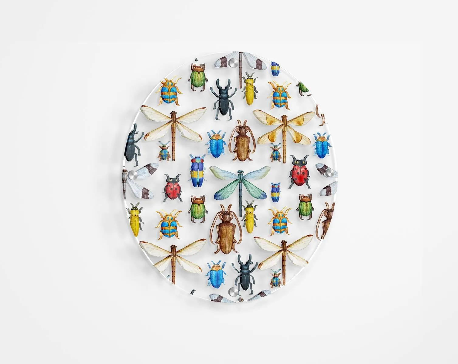 Beetles  Printed Transparent Acrylic Circle