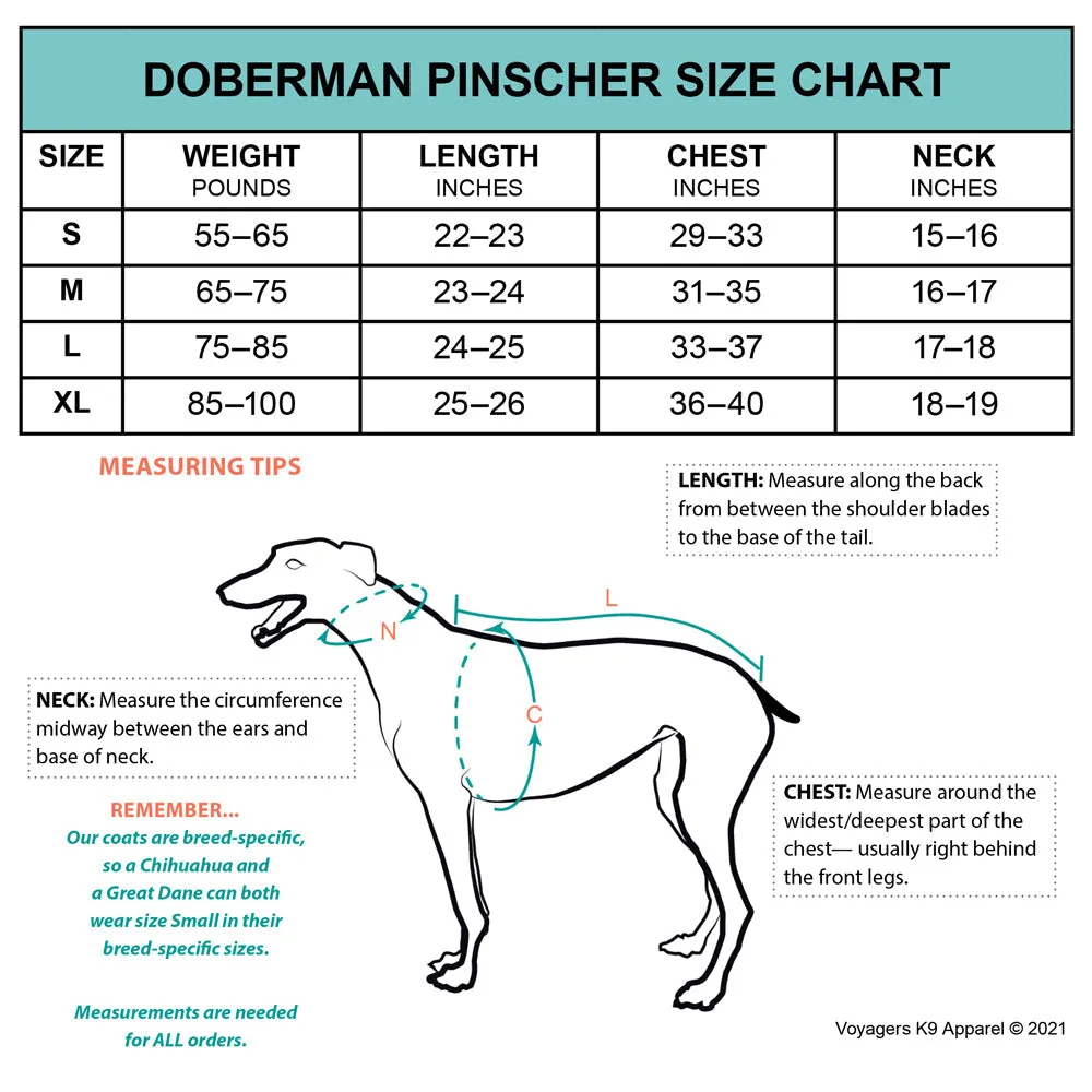 ReCoat ♻️ Doberman Pinscher Winter Coat with Harness Opening