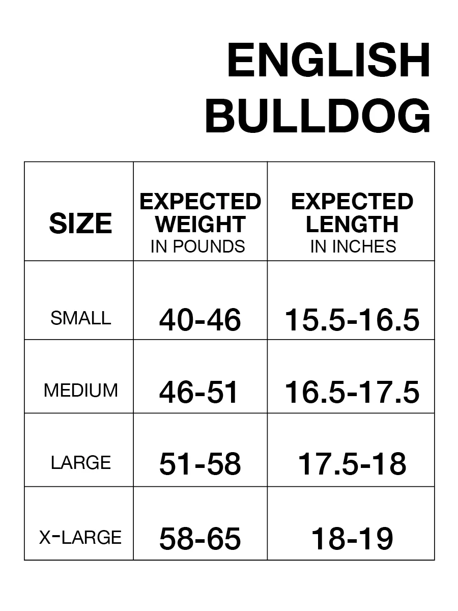 ReCoat ♻️ English Bulldog Winter Coat