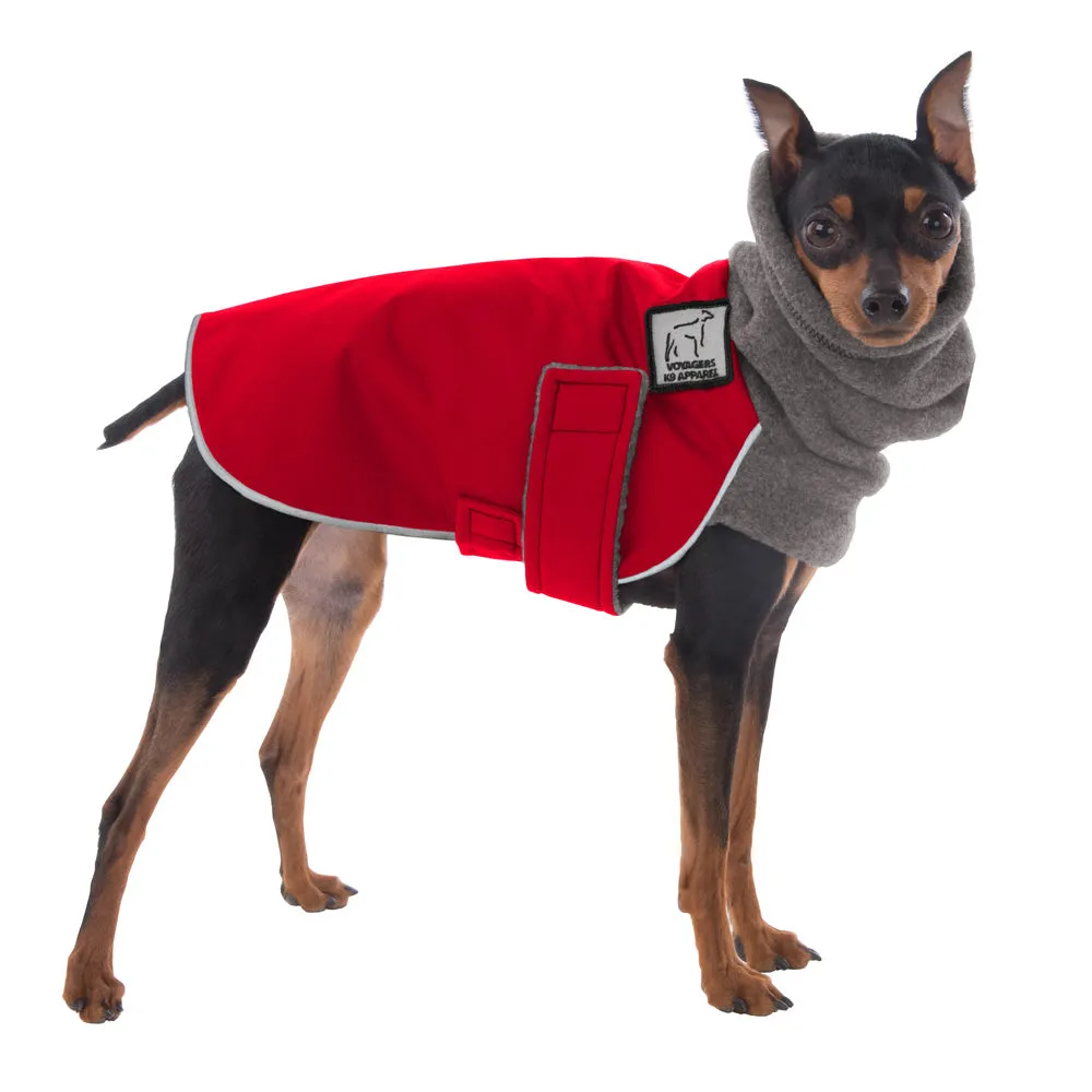 ReCoat ♻️ Miniature Pinscher Winter Coat with Harness Opening