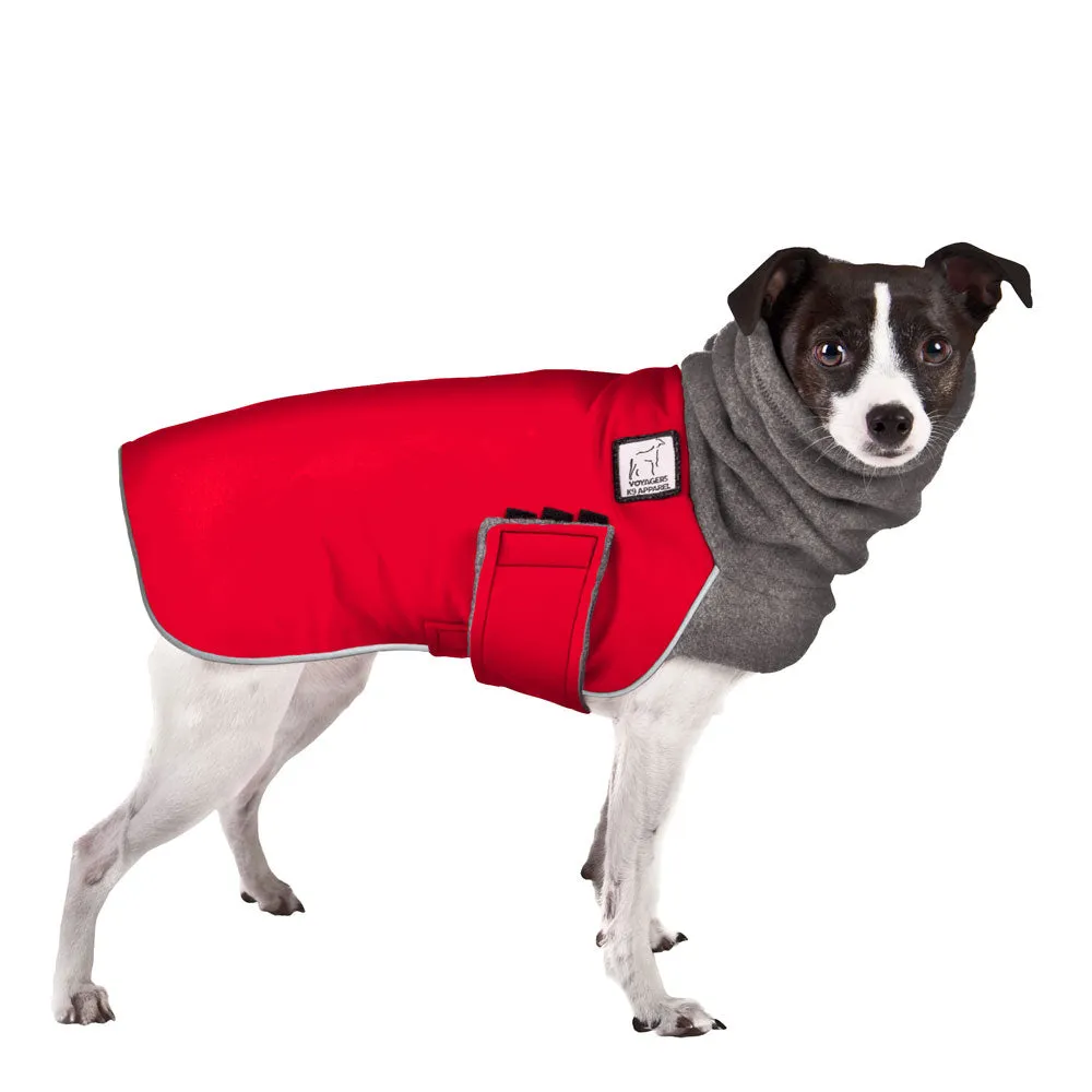 ReCoat ♻️ Rat Terrier Winter Coat with Harness Opening