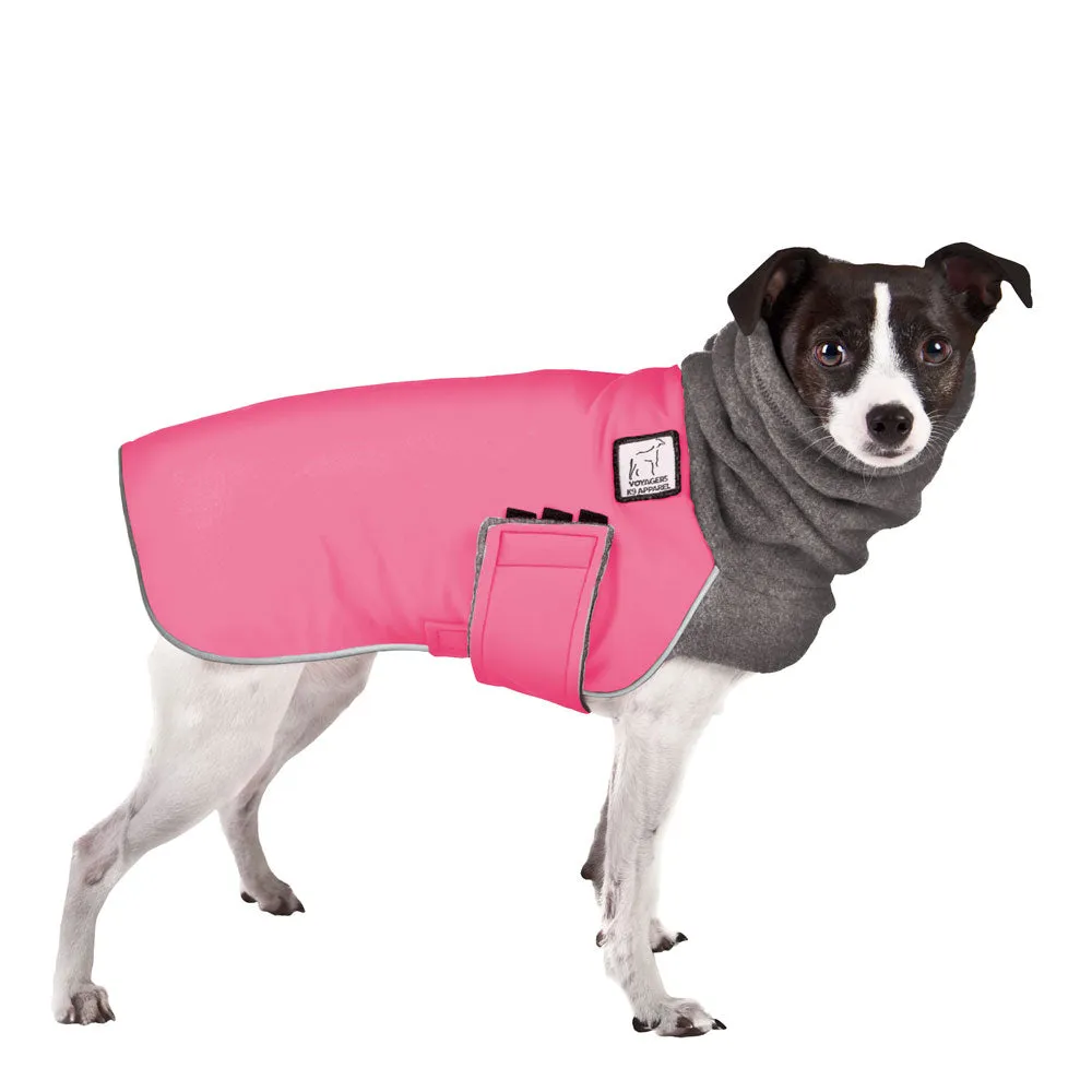 ReCoat ♻️ Rat Terrier Winter Coat with Harness Opening